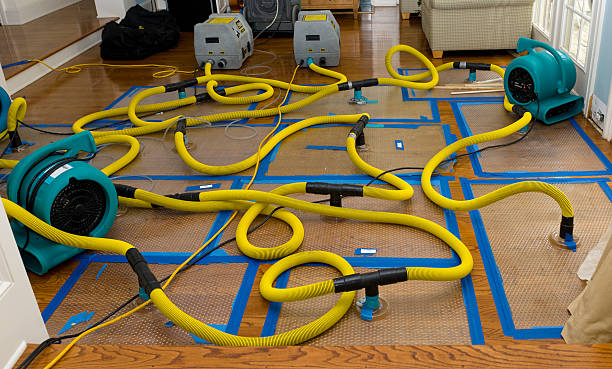 Professional Crawl Space Water Removal technician working in Brunswick, NC